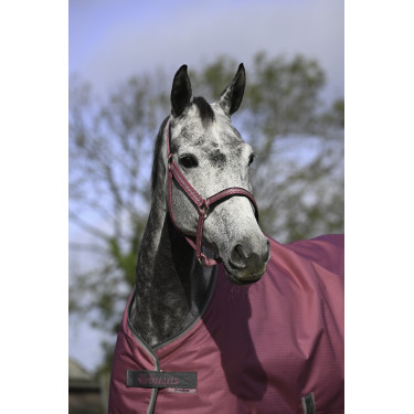 Halfter Bucas Dublin Himbeere Rot Halfter Bucas Dublin Himbeere Rot