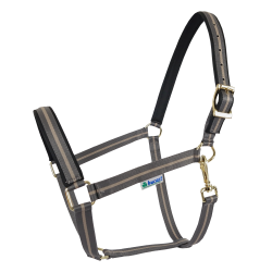 Halfter Bucas Dublin Rauchgrau Halfter Bucas Dublin Rauchgrau