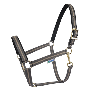 Halfter Bucas Dublin Rauchgrau Halfter Bucas Dublin Rauchgrau