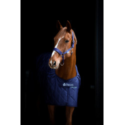 Bucas Cosy Stalldecke