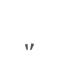 Harlow Mini LeMieux Froostie Pony bedruckte Socken Llamas Damsen