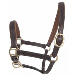Leder-Fohlenhalfter T de T Leder-Fohlenhalfter T de T