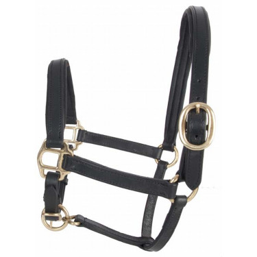 Leder-Fohlenhalfter T de T Leder-Fohlenhalfter T de T