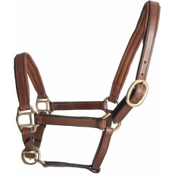 Leder-Fohlenhalfter T de T Tabak Braun