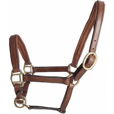 Leder-Fohlenhalfter T de T Tabak Braun
