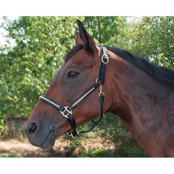 Lederhalfter Clincher T de T Lederhalfter Clincher T de T