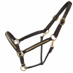 Lederhalfter Clincher T de T Dunkles Havanna / Gelb Braun