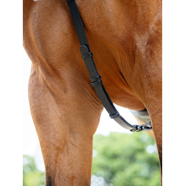 LeMieux-Brustblatt mit Brücke Kudos Schwarz