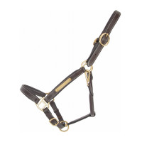 Licol cuir avec plaque à graver T de T Marron foncé