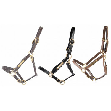 Lederhalfter mit Gravurplatte T de T Lederhalfter mit Gravurplatte T de T