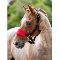 Mini LeMieux Vogue Halfter und Führstrick Chilli Rot Mini LeMieux Vogue Halfter und Führstrick Chilli Rot