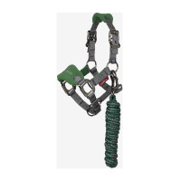 Mini LeMieux Vogue Halfter und Führstrick Cranberry Rosa