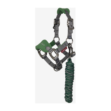 Mini LeMieux Vogue Halfter und Führstrick Jägergrün Gr&amp;amp;amp;uuml;n