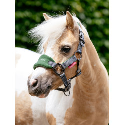 Mini LeMieux Vogue Halfter und Führstrick Jägergrün Gr&amp;amp;amp;uuml;n