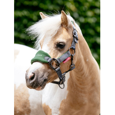 Mini LeMieux Vogue Halfter und Führstrick Jägergrün Gr&amp;amp;amp;uuml;n