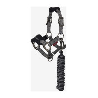 Mini LeMieux Vogue Halfter und Führstrick Schwarz