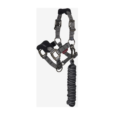 Mini LeMieux Vogue Halfter und Führstrick Schwarz