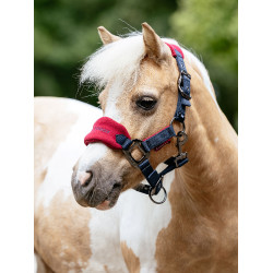 Mini LeMieux Vogue Halfter und Führstrick Bordeaux