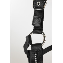 Halfter und Führstrick Harcour Amour Schwarz Halfter und Führstrick Harcour Amour Schwarz