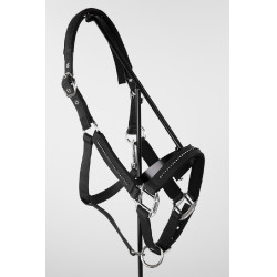 Halfter und Führstrick Harcour Amour Schwarz Halfter und Führstrick Harcour Amour Schwarz