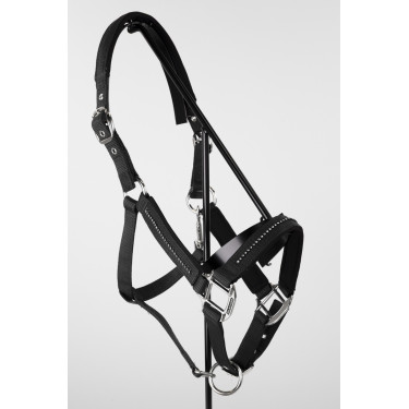 Halfter und Führstrick Harcour Amour Schwarz Halfter und Führstrick Harcour Amour Schwarz