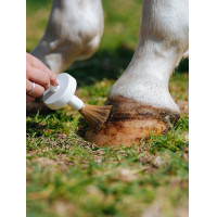 Natural’Hoof Natural’Innov