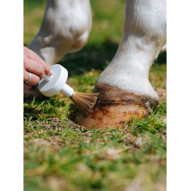 Natural’Hoof Natural’Innov Natural’Hoof Natural’Innov
