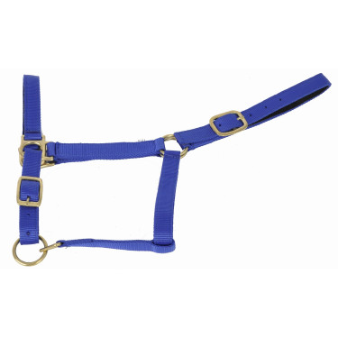 Synthetikhalfter mit Wildlederfutter T de T Königsblau