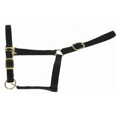 Synthetikhalfter mit Wildlederfutter T de T Schwarz