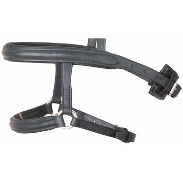 Französisch kombiniert mit deutschem Reithalfter T de T Schwarz