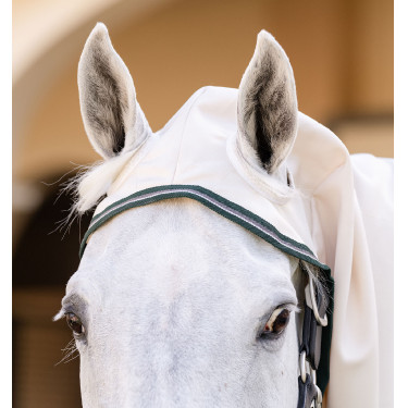 Komplettdecke Horseware Rambo Hoody Pony 0g Kreide / Jägergrün / Silber Komplettdecke Horseware Rambo Hoody Pony 0g Kreide / Jägergrün / Silber