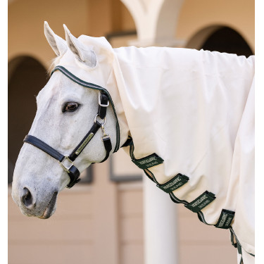 Komplettdecke Horseware Rambo Hoody Pony 0g Kreide / Jägergrün / Silber Komplettdecke Horseware Rambo Hoody Pony 0g Kreide / Jägergrün / Silber