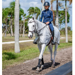 Fliegendecke Horseware Fluo Amigo Flyrider 0g Silber / Titan-Grau / Silber