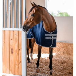 Pferdedecke Horseware Amigo Delphinium 0g Marine / Titan Grau / Silber