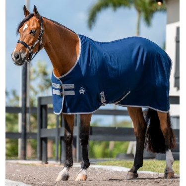 Pferdedecke Horseware Amigo Delphinium 0g Marine / Titan Grau / Silber Pferdedecke Horseware Amigo Delphinium 0g Marine / Titan Grau / Silber
