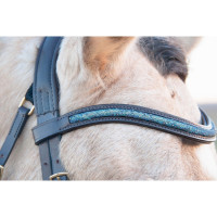 Trensenzaum Guardi T de T Aqua anatomisches Genickstück Softy-Leder Dunkles Havanna Braun