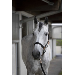 Kopfstück + Führstrick Norton Roségold Schwarz