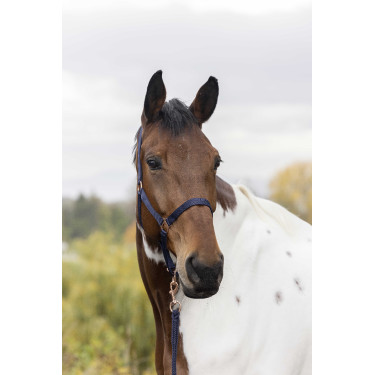 Kopfstück + Führstrick Norton Roségold Marineblau