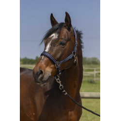 Halfter Norton 4lines Marineblau Halfter Norton 4lines Marineblau