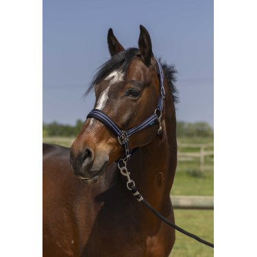 Halfter Norton 4lines Marineblau Halfter Norton 4lines Marineblau