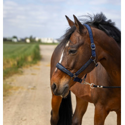 Halfter Equithème Nylon Strass Marineblau Halfter Equithème Nylon Strass Marineblau