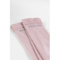 new Pfingstrose Rosa new Pfingstrose Rosa