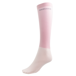 new Pfingstrose Rosa