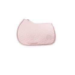 new Pfingstrose Rosa