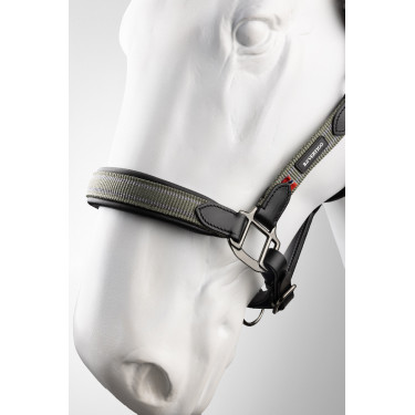 Lederhalfter B Vertigo Lennox Grün Scarabäus Gr&uuml;n