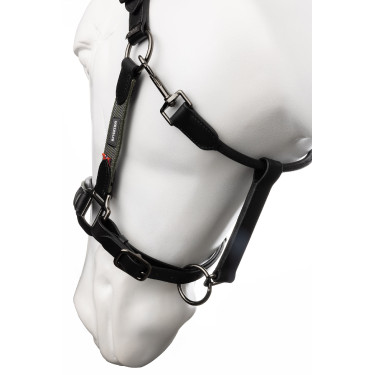 Lederhalfter B Vertigo Lennox Grün Scarabäus Gr&uuml;n