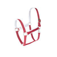 Weihnachts-Halfter Horze Rot