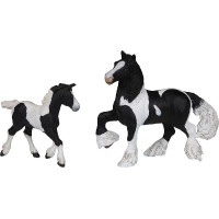 Irisches Tinker-Fohlen... Irisches Tinker-Fohlen...