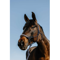 Ethologisches Halfter + Führstrick Norton Deco Braun / Beige Ethologisches Halfter + Führstrick Norton Deco Braun / Beige