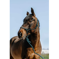 Ethologisches Halfter + Führstrick Norton Deco Braun / Beige Ethologisches Halfter + Führstrick Norton Deco Braun / Beige